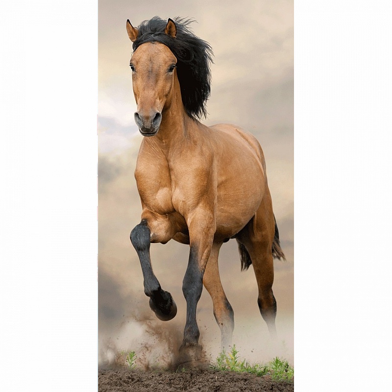 Osuška Kůň hnědý 70 x 140 cm