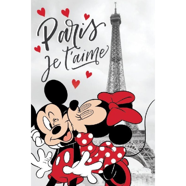 Fleece deka Mickey a Minnie Paříž 100/150