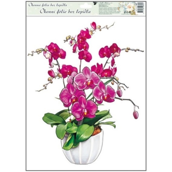 Okenní fólie Orchidej růžová 38 x 30 cm