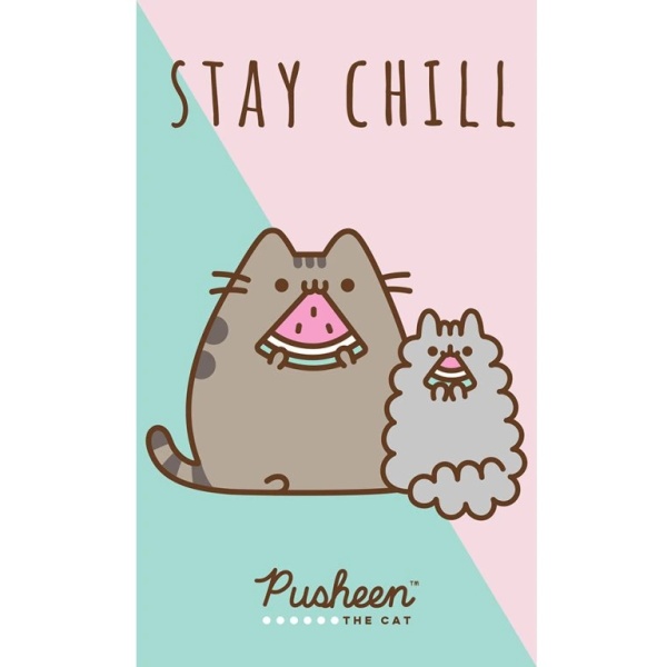 Dětský ručníček Kočička Pusheen Stay Chill 30 x 50 cm