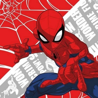 Magický ručníček Spiderman 30x30 cm
