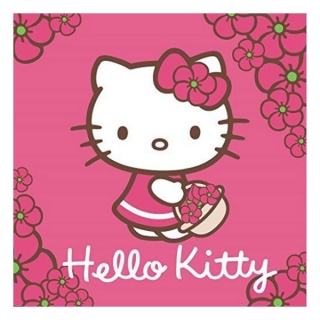 Magický ručníček Hello Kitty 30x30 cm